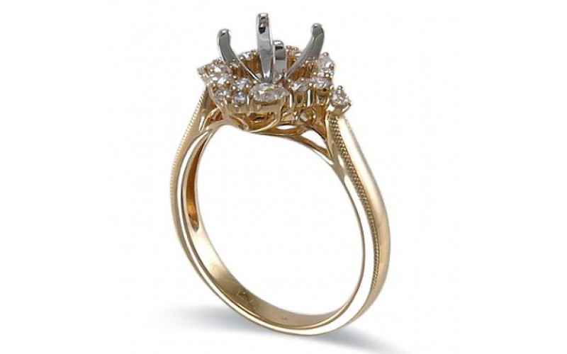 14K Yellow & White Gold Diamond Ring Mounting